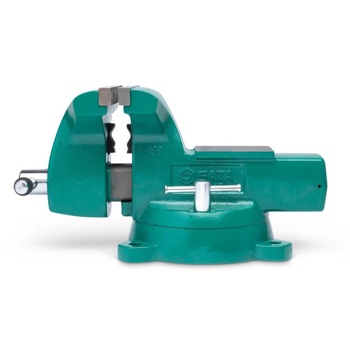 Mechanics Bench Vise 8